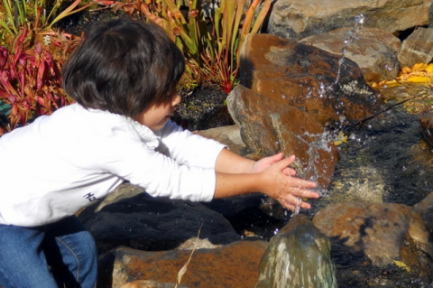 child putting hands in a small stream