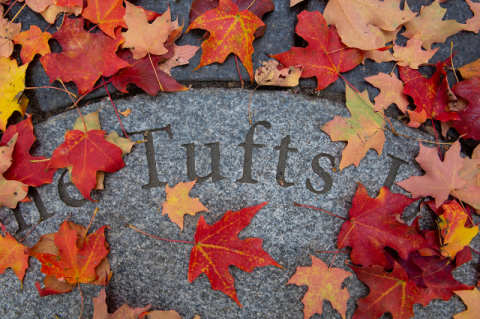Tufts lettering surrounded by fall leaves