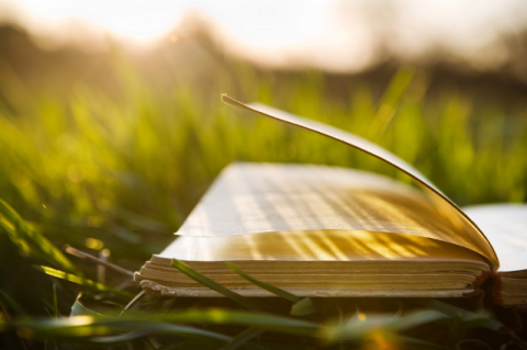 an open book in grass
